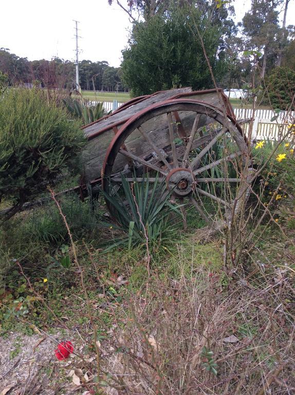 Snowy River Lodge Motel ออร์บอสท์ ภายนอก รูปภาพ